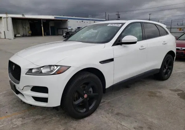 samochody osobowe Jaguar F-Pace cena 69900 przebieg: 63418, rok produkcji 2019 z Chełm